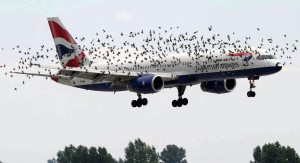 britishairways