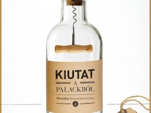 kiutat-a-palackbol-filozofiai-kreativitasverseny