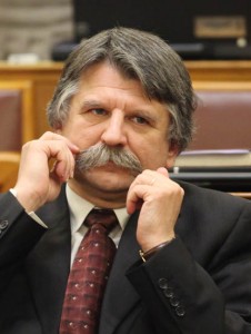 orszaggyules plenaris ulese , kover laszlo fidesz