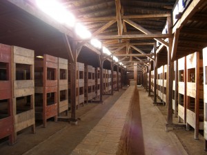 Auschwitz Birkenau